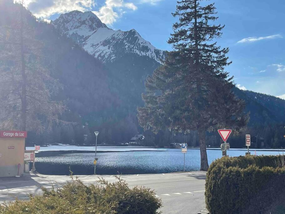 Apartamento 2,5 Pieces Avec Jardin A 2 Pas Du Champex-Lac